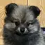 timのプロフィール画像