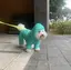 ayacoのプロフィール画像