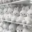 Fのプロフィール画像