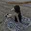 美夢のプロフィール画像