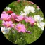 ・・・のプロフィール画像