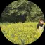 りなのプロフィール画像