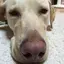 T.Sのプロフィール画像