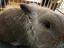 さぴのプロフィール画像