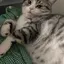 みほのプロフィール画像