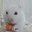Yのプロフィール画像