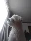 teteのプロフィール画像
