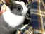 さのプロフィール画像