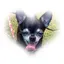 Sumiのプロフィール画像