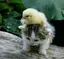 yutaのプロフィール画像
