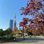 木下のプロフィール画像