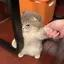 ぽのプロフィール画像