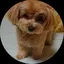 kanaのプロフィール画像