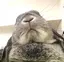 さきのプロフィール画像