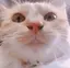まいたのプロフィール画像