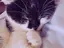 りのプロフィール画像