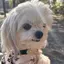 しおのプロフィール画像