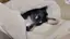 しまのプロフィール画像
