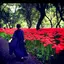 なーのんのプロフィール画像