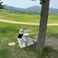 mのプロフィール画像