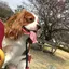 さーちゃんのプロフィール画像