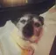 真里那のプロフィール画像