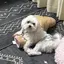 あおのプロフィール画像