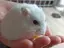 Karenのプロフィール画像