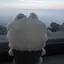 葵のプロフィール画像
