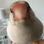 もちもんのプロフィール画像