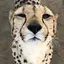 めぐみのプロフィール画像