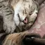 とものプロフィール画像