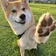 みそのプロフィール画像