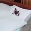 ユノのプロフィール画像