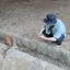 SHIGIのプロフィール画像
