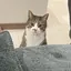みちのプロフィール画像
