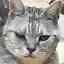 みーちゃんのプロフィール画像