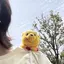ぐのプロフィール画像