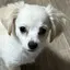 駿介のプロフィール画像