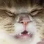 ゆのプロフィール画像