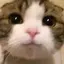 わのプロフィール画像