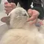 あさんのプロフィール画像