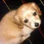Ellieのプロフィール画像