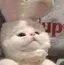 Pᴏᴛᴏꜰᴜのプロフィール画像