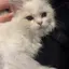 りののプロフィール画像