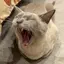 あやかのプロフィール画像