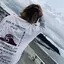 Minaёのプロフィール画像