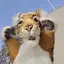 310のプロフィール画像