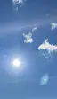 Y__26のプロフィール画像