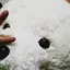 emkのプロフィール画像